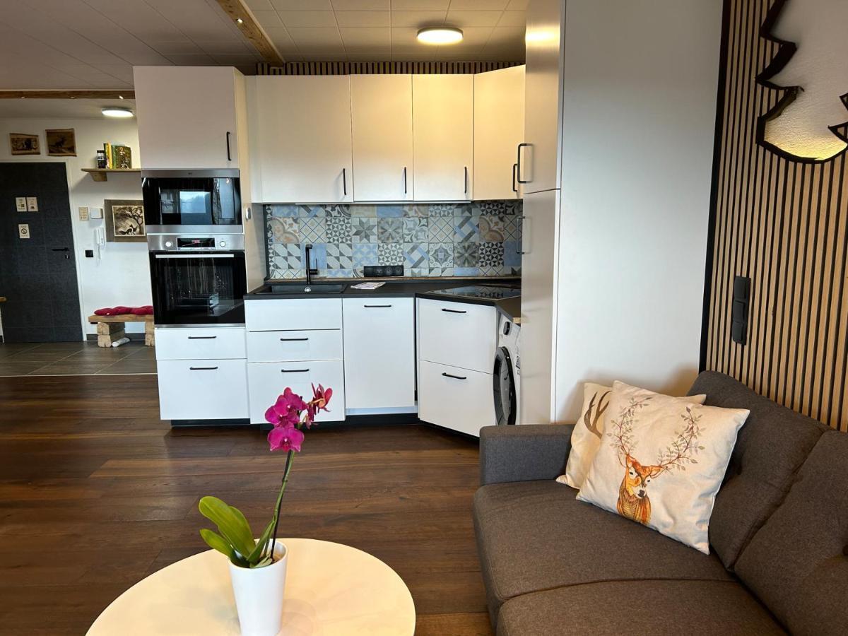 Apartment Fabelwald Black Forest Schonach im Schwarzwald Kültér fotó
